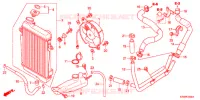 RADIATEUR pour Honda SH 300 ABS BRONZE 2012