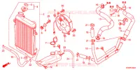 RADIATEUR pour Honda SH 300 2012