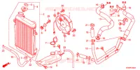 RADIATEUR pour Honda SH 300 R 2012
