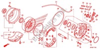 FLASQUE   MACHOIRES DE FREIN ARRIERE pour Honda FOURTRAX 420 RANCHER 4X4 Manual Shift 2012