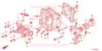 CULASSE pour Honda SH 125 SPECIAL 2013