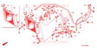 RADIATEUR pour Honda FS 125 SONIC C 2001