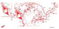 RADIATEUR pour Honda FS 125 SONIC C 2003