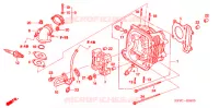 CULASSE (SC1255,6,8) pour Honda SC 125 2007