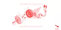 ROTOR   STATOR pour Honda SH 125 ABS D SPECIAL 3ED 2013