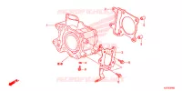 CYLINDRE pour Honda SH 150 D SPECIAL 2E 2013