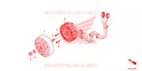 ROTOR   STATOR pour Honda SH 150 D SPECIAL 2F 2013