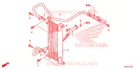RADIATEUR D'HUILE pour Honda FOURTRAX 500 FOREMAN RUBICON Power Steering 2014