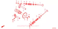 ARBRE A CAMES   SOUPAPE pour Honda VISION 50 R 2014