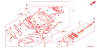 FEUX ARRIERE (NSC502WH/T2) pour Honda VISION 50 R 2014