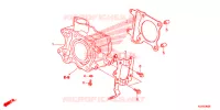 CYLINDRE pour Honda SH 125 ABS SPORTY 2014