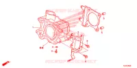 CYLINDRE pour Honda SH 125 D SPECIAL 4E 2014