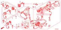 FAISCEAU DES FILS pour Honda SH 125 SPORTY SPECIAL 2E 2014