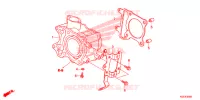 CYLINDRE pour Honda SH 150 ABS SPECIAL 5ED 2014