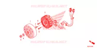 ROTOR   STATOR pour Honda SH 150 ABS SPORTY SPECIAL 5ED 2014