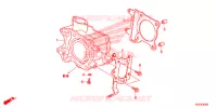 CYLINDRE pour Honda SH 150 SPORTY SPECIAL 3ED 2014