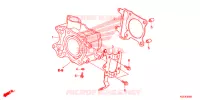 CYLINDRE pour Honda SH 150 SPORTY SPECIAL 5ED 2014