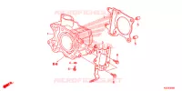 CYLINDRE pour Honda SH 150 SPORTY STANDARD 2014