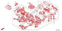 FAISCEAU DES FILS (CBR1000RR/S) pour Honda CBR 1000 RR SP TRICOLOUR 2015