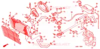 RADIATEUR pour Honda CB 500 2000