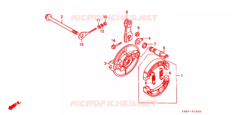 FLASQUE - MACHOIRES DE FREIN ARRIERE Honda MOTO 50 MONKEY 2003  Z50J3_MSP