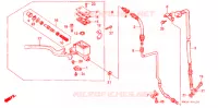 MAITRE CYLINDRE DE FREIN AVANT pour Honda NX 250 1989