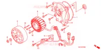 ROTOR   STATOR pour Honda 50 SMART DIO 2002