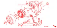 ROTOR   STATOR pour Honda 50 SMART DIO CLEAN 4 YOU 2002