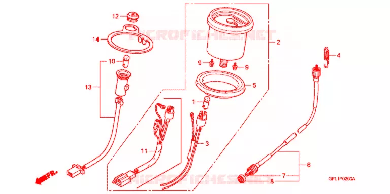 COMPTEUR Honda MOTO 50 MONKEY 2004  Z50J4_M_SP