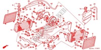 RADIATEUR pour Honda VFR 800 INTERCEPTOR RED 2007