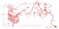 RADIATEUR pour Honda RUCKUS 50 2003