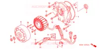 ROTOR   STATOR pour Honda RUCKUS 50 2003