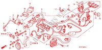 FAISCEAU DES FILS  pour Honda CBR 125 2007