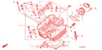 CULASSE pour Honda CB 300 R 2009