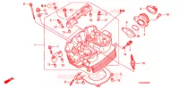 CULASSE pour Honda CB 300 R 2011