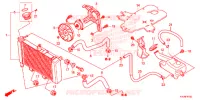 RADIATEUR pour Honda CBR 250 R RED 2011