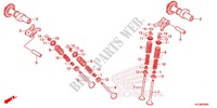 ARBRE A CAMES   SOUPAPE pour Honda CBR 250 R TRICOLOR 2012