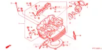 CULASSE pour Honda CBX 250 TWISTER 2006