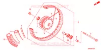ROUE AVANT (RAYON/FREIN A TAMBOUR) pour Honda WAVE 110 Kick start Front brake drum 2009