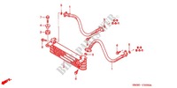 RADIATEUR D'HUILE pour Honda TRX 250 FOURTRAX RECON Electric Shift 2003