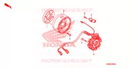 ALTERNATEUR pour Honda TRX 250 FOURTRAX RECON Electric Shift 2009