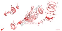 VILEBREQUIN   PISTON pour Honda FOURTRAX 500 FOREMAN RUBICON 4X4 ES IRS 2017
