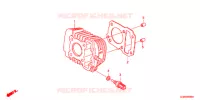 CYLINDRE pour Honda SUPER CUB 50 PRO -YB- 2016