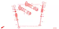 ARBRE A CAMES   SOUPAPE pour Honda CBR 250 RR ABS RED 2017