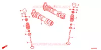 ARBRE A CAMES   SOUPAPE pour Honda CBR 250 RR SILVER 2017