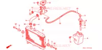 RADIATEUR pour Honda NSR 50 1992