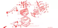 CYLINDRE   CULASSE (1) pour Honda NSR 50 1993