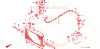RADIATEUR pour Honda NSR 50 1995