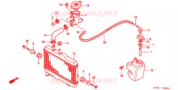 RADIATEUR pour Honda NSR 80 1997