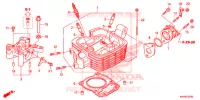 CULASSE pour Honda XR 125, Electric start  -1LA- 2012